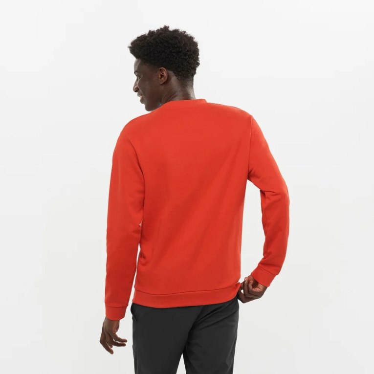 Orange Salomon Outlife Logo Summer Men's Sweatshirt | IE IW6452